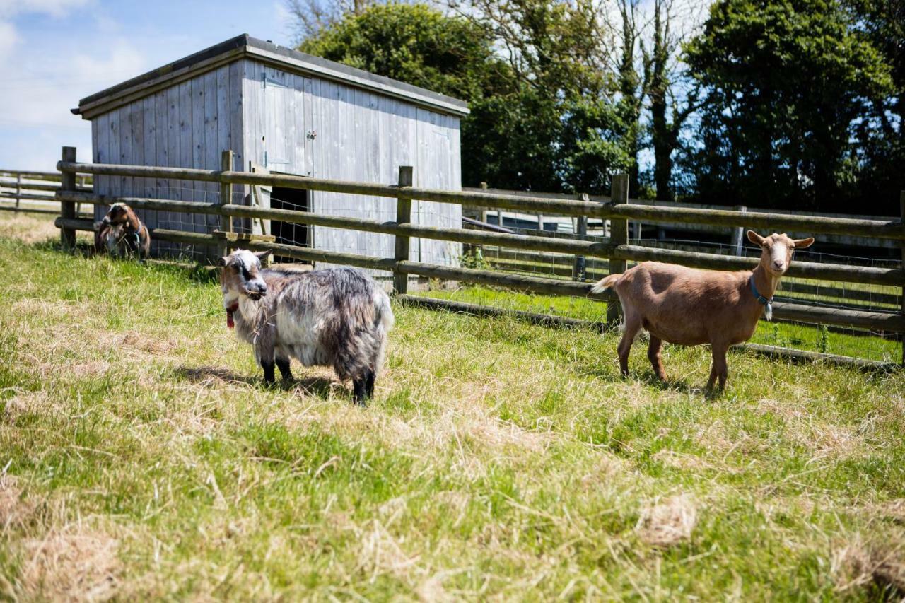 Sharlands Farm Holiday Cottages バッド エクステリア 写真