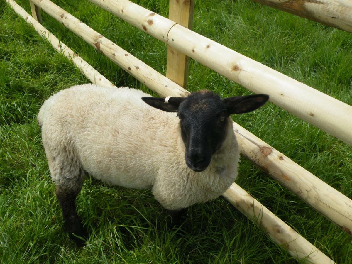 Sharlands Farm Holiday Cottages バッド エクステリア 写真